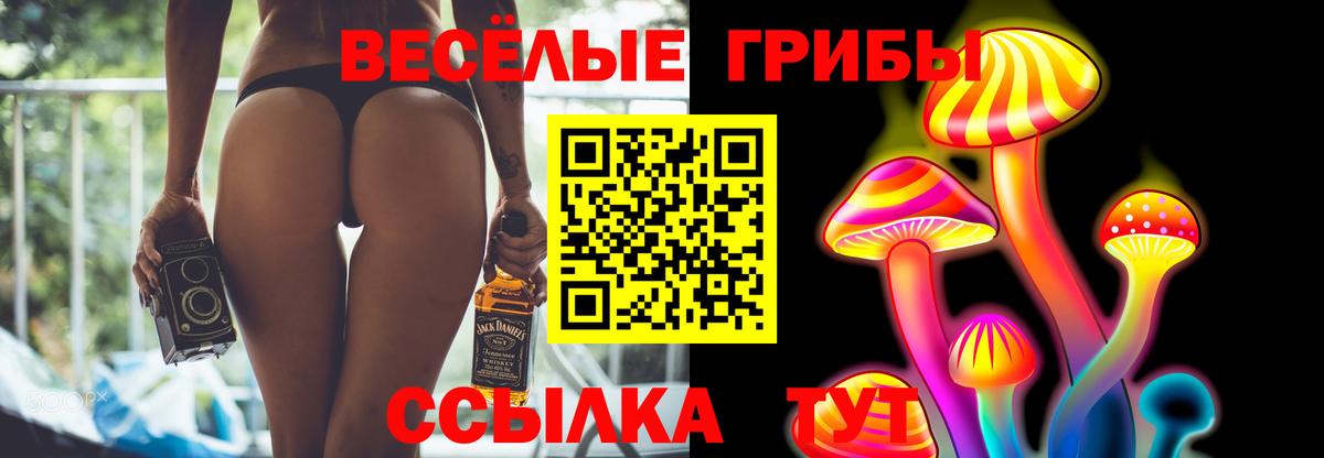 Псилоцибиновые грибы мухоморы  Галлюциногенные грибы мухоморы  Ленинск-Кузнецкий  Вход с VPN 